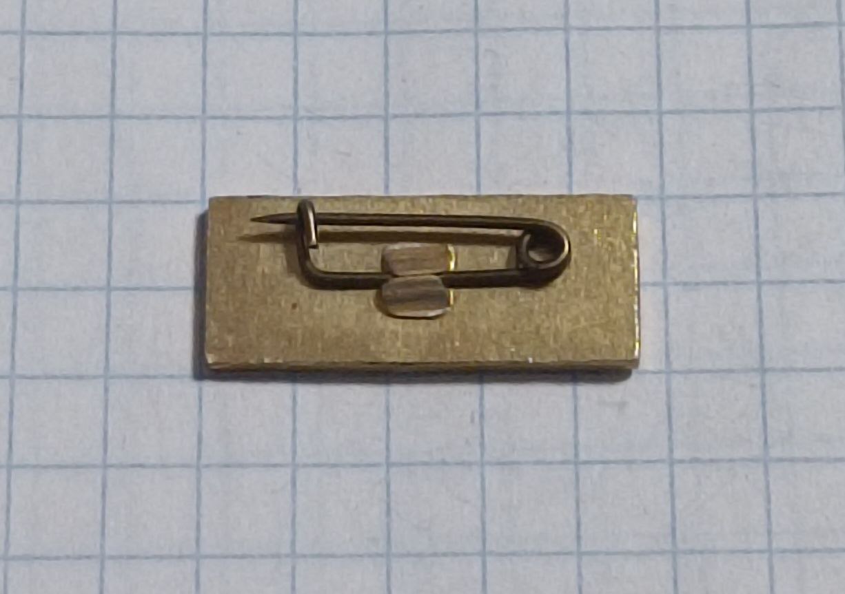 Значок "Минск Луч" фото 2