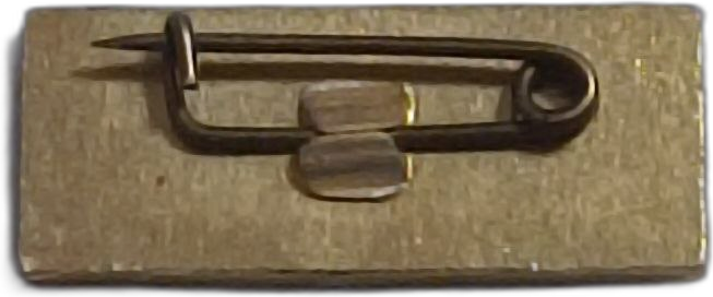 Значок "Минск Луч" фото 4