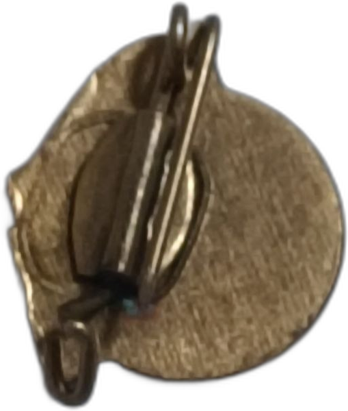 Значок ГДР фото 4